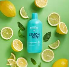 Beesline Lemon & Mint Shower Cream 750ml