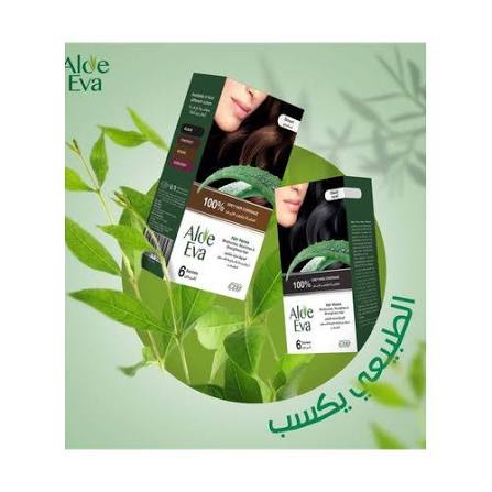 Aloe Eva Hair Henna Black ( 6 sachets * 10 Gm )