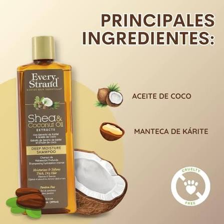 Every Strand Shea & Coconut Oil Shampoo - 399ml